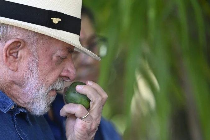 Lula diz que vai levar pé de jabuticaba para acalmar Trump
