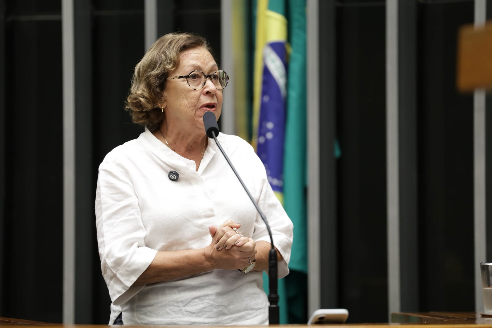 Modernização do benefício é necessária para acompanhar as mudanças nos hábitos de consumo cultural, afirma Lídice sobre vale-cultura